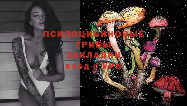 мет Абаза