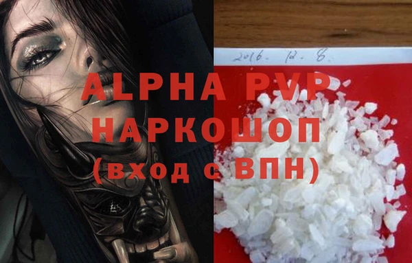 индика Переславль-Залесский