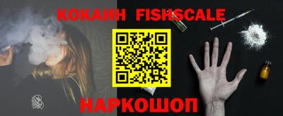 крисы Краснознаменск