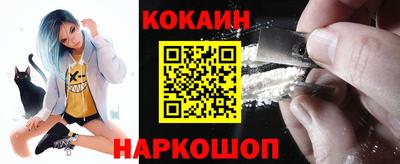 крисы Краснознаменск