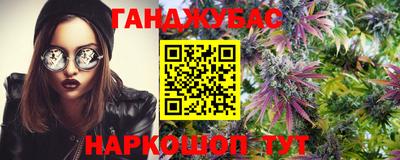 крисы Краснознаменск