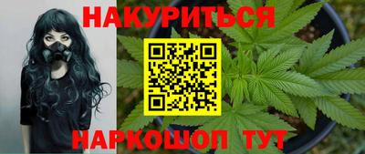 крисы Краснознаменск