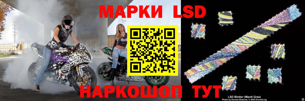 omg tor  Вход с VPN  Краснодар  LSD-25 экстази ecstasy 